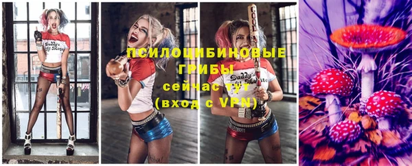 2c-b Дмитров