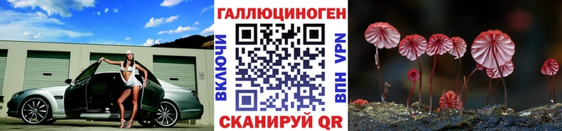 Галлюциногенные грибы Magic Shrooms Курск